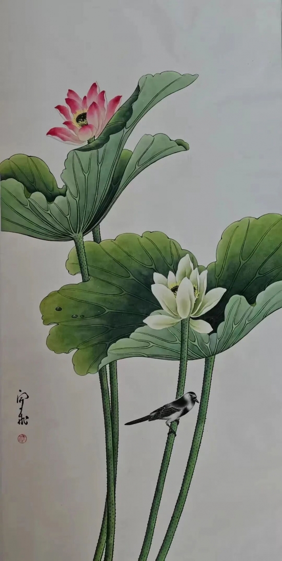 云图片
